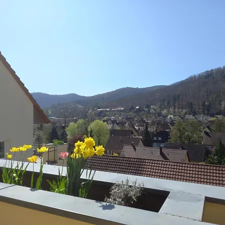 Le Panorama - Meuble 5 Pieces Cuisine Salle De Bain Apartment *