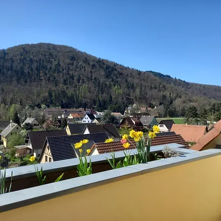 Apartment Le Panorama - Meuble 5 Pieces Cuisine Salle De Bain Kaysersberg-Vignoble