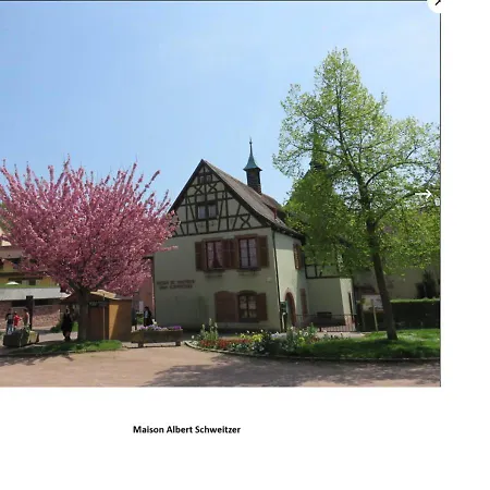 Le Panorama - Meuble 5 Pieces Cuisine Salle De Bain Appartement *