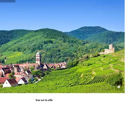 Appartement Le Panorama - Meuble 5 Pieces Cuisine Salle De Bain Kaysersberg-Vignoble