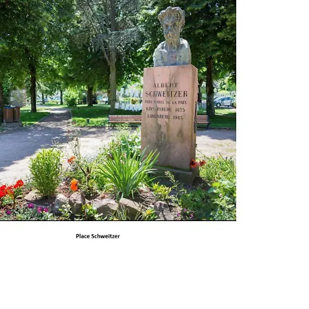 Le Panorama - Meublé 5 Pièces Cuisine Salle De Bain Kaysersberg-Vignoble