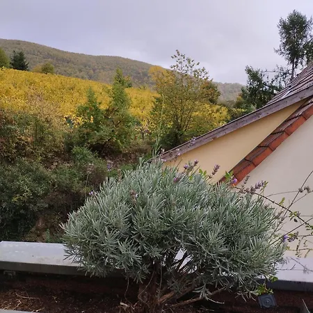 Le Panorama - Meublé 5 Pièces Cuisine Salle De Bain