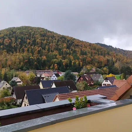 Le Panorama - Meublé 5 Pièces Cuisine Salle De Bain * Kaysersberg-Vignoble